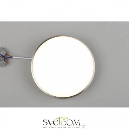 Настенно-потолочные светильники Aployt APL.0114.19.18 от Магазина Svetdom.by