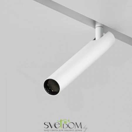 TR141-2-6W4K-M-W Maytoni