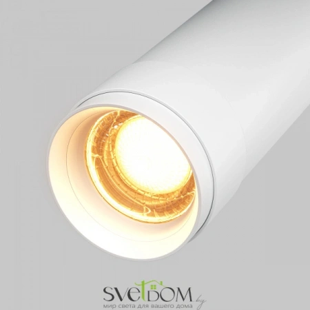 Потолочные светильники Maytoni C055CL-L12W2.7K-Z-W от Магазина Svetdom.by