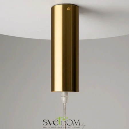 Подвесные светильники Maytoni MOD410PL-L12BS3K от Магазина Svetdom.by