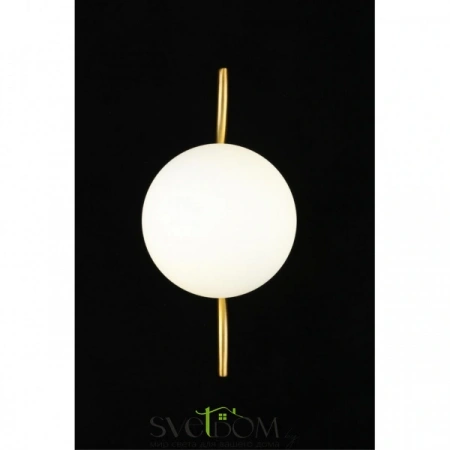 Настенные светильники APL.312.11.01 Aployt | Svetdom.by