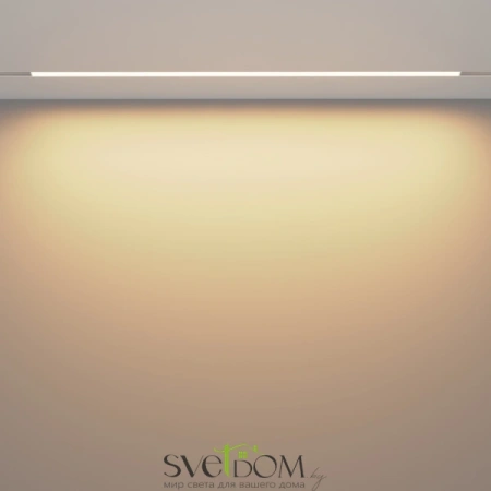 Трековый светильник Technical TR030-2-30W3K-W Maytoni
