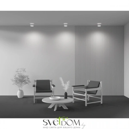 Потолочные светильники Maytoni C009CW-L16W4K от Магазина Svetdom.by