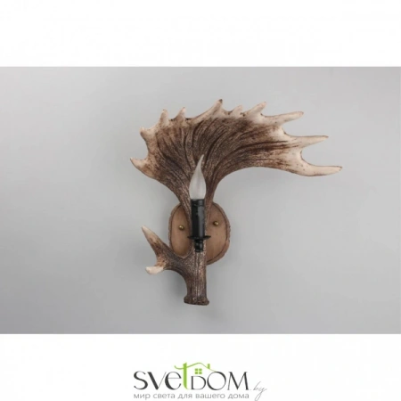 Настенные светильники OML-52201-01 Omnilux | Svetdom.by