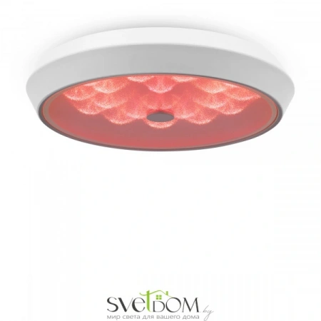 Фото Светильники Freya FR10012CL-L24W Светильники Freya FR10012CL-L24W от Магазина Svetdom.by