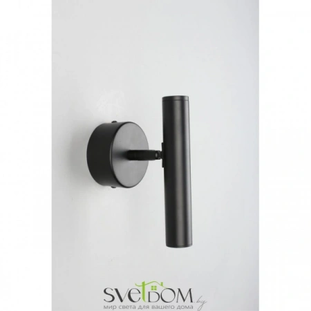 Настенные светильники APL.067.01.03 Aployt | Svetdom.by