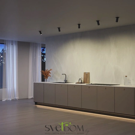 Встраиваемые светильники Maytoni C081CL-01-GU10-B от Магазина Svetdom.by