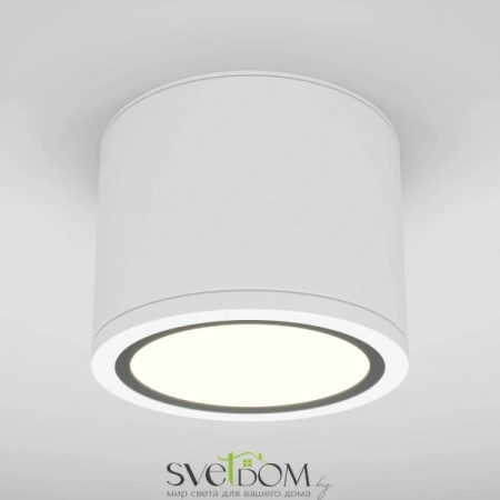 Потолочные светильники Maytoni C095CL-GX53-W от Магазина Svetdom.by