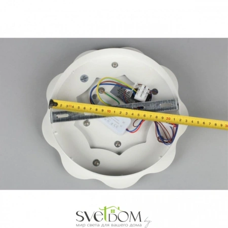 Настенные светильники OML-07901-26 Omnilux | Svetdom.by