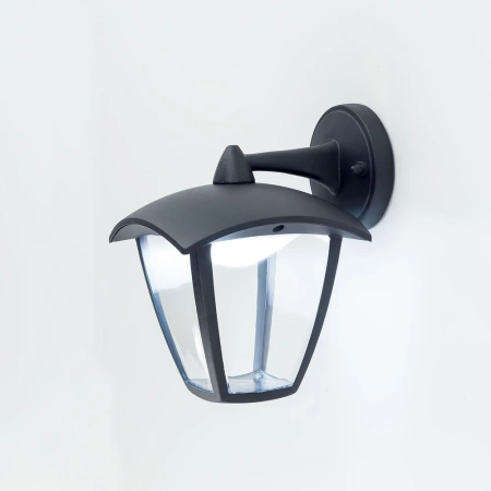Уличный настенный светильник Citilux GARDA CLU04W2 CITILUX