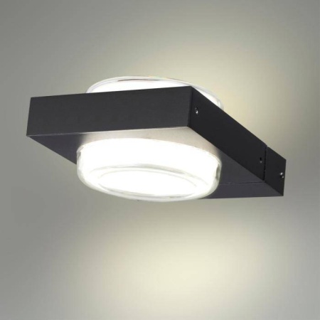 6654/6WL NATURE ODL24 623 черный/металл Уличный настенный светильник IP54 LED 6W 4000K AC85-265V VART Odeon Light