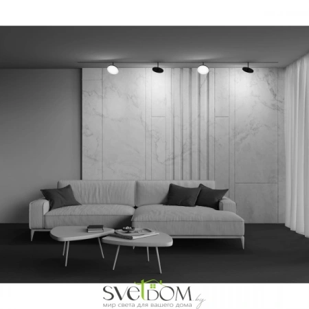 TR131-2-15W3K-B Maytoni