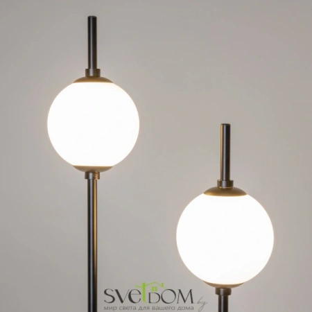 Z020FL-L12BK Maytoni