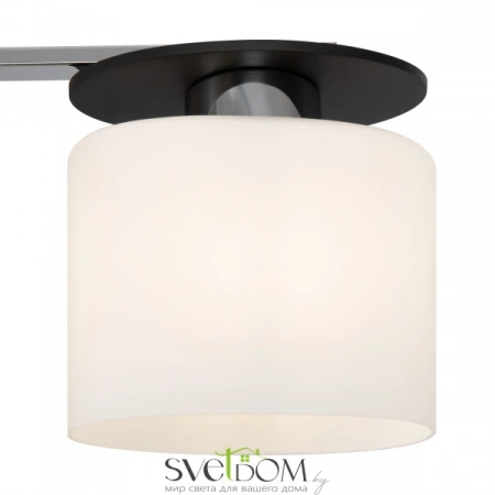 Фото Светильники Freya FR5101-CL-04-CN Светильники Freya FR5101-CL-04-CN от Магазина Svetdom.by