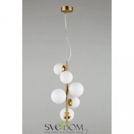 Подвесные светильники Aployt APL.314.06.06 от Магазина Svetdom.by