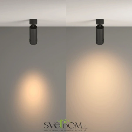 Потолочные светильники Maytoni C055CL-L12W3K-Z-B от Магазина Svetdom.by