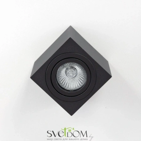 CL538213 CITILUX