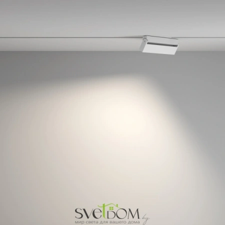 TR077-2-20W4K-W Maytoni