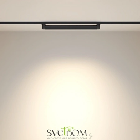 TR010-1-20W3K-M-B Maytoni