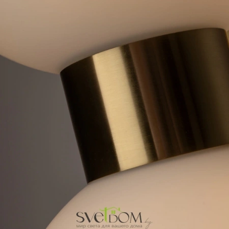 Настенные светильники FR5394WL-02BS Freya | Svetdom.by