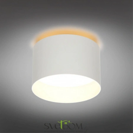 Настенно-потолочные светильники Omnilux OML-100419-16 от Магазина Svetdom.by