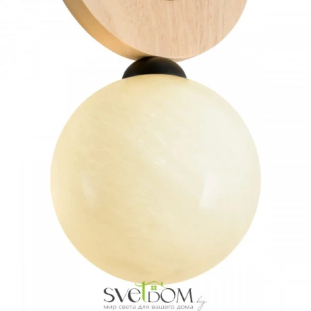 Подвесные светильники Freya FR5593PL-01B1 от Магазина Svetdom.by