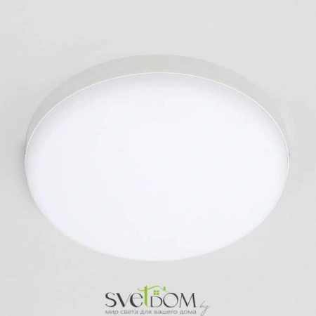Накладные светильники CITILUX CL707021 от Магазина Svetdom.by