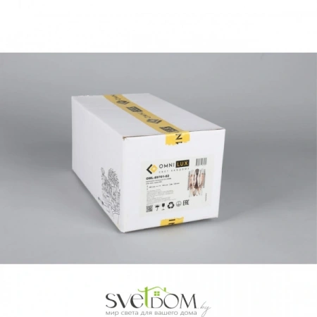 Настенные светильники OML-89701-02 Omnilux | Svetdom.by