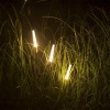 7020/4GL NATURE ODL25 708 Ландшафтный светильник 790мм металл/акрил IP65 LED 4W CRI 90 3000K 24V CANNA (нужен драйвер 357781/357782) Odeon Light