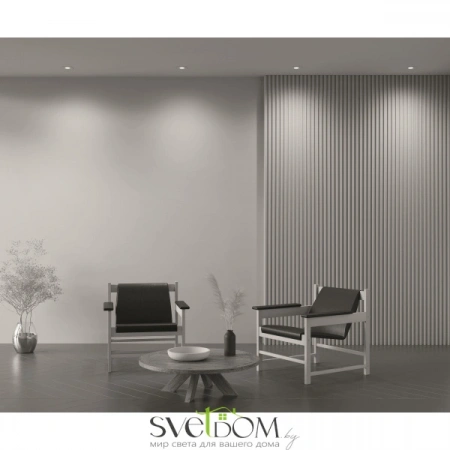 Встраиваемые светильники Maytoni DL024-2-01W от Магазина Svetdom.by