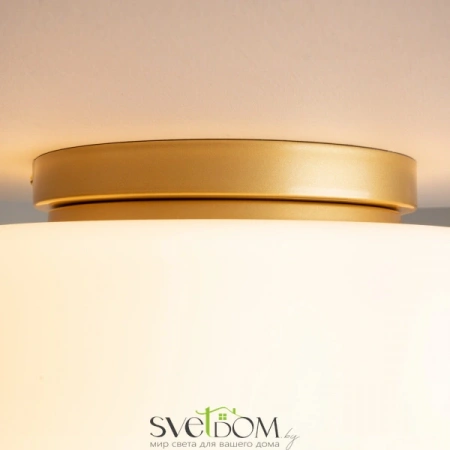 Потолочные светильники Maytoni MOD270CL-01G от Магазина Svetdom.by