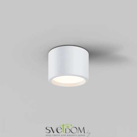 Потолочные светильники Maytoni C090CL-10W3K-W от Магазина Svetdom.by