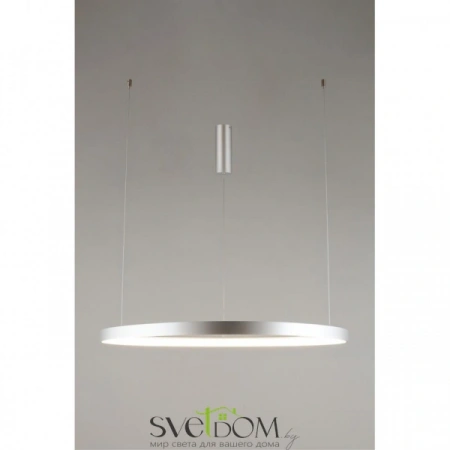 Люстры подвесныеAPL.022.13.60 Aployt | Svetdom.by