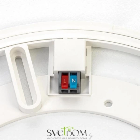 Накладные светильники CITILUX CL748600 от Магазина Svetdom.by