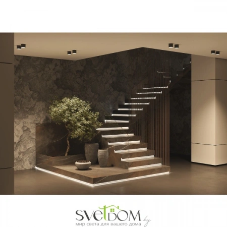 Потолочные светильники Maytoni C096L-GX53-WBS от Магазина Svetdom.by