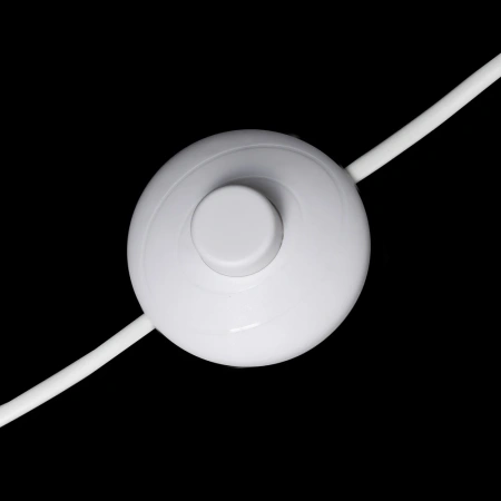 Торшер Citilux Рейнер CL806020 CITILUX