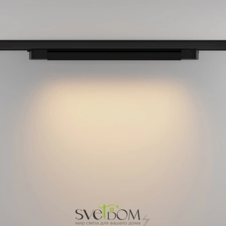 Трековый светильник Technical TR196-3-20W2.7K-B Maytoni