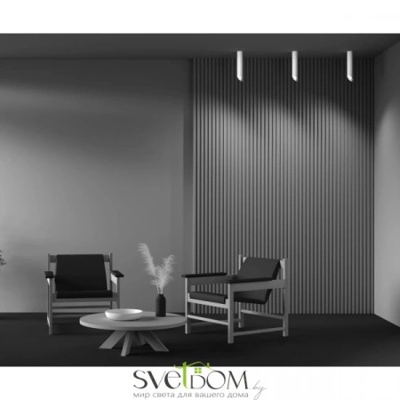 Потолочные светильники Maytoni C044CL-01-30GU10-W от Магазина Svetdom.by