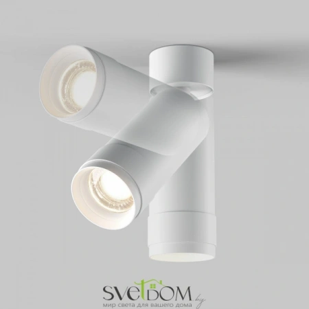 Потолочные светильники Maytoni C055CL-L12W4K-Z-W от Магазина Svetdom.by