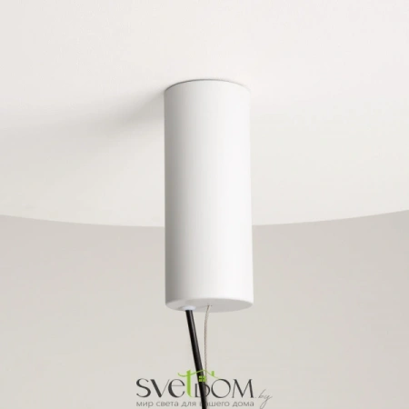 Подвесные светильники Maytoni MOD150PL-L5W3K от Магазина Svetdom.by