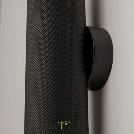 Настенные светильники C080WL-02-GU10-B Maytoni | Svetdom.by