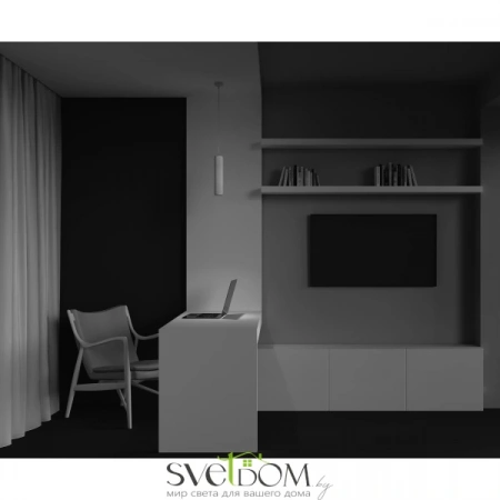 Подвесные светильники Maytoni P038PL-01W от Магазина Svetdom.by