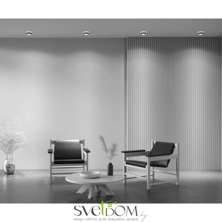 Встраиваемые светильники Maytoni DL035-2-L6B4K от Магазина Svetdom.by