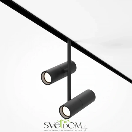 TR005-2-2X12W3K-B Maytoni