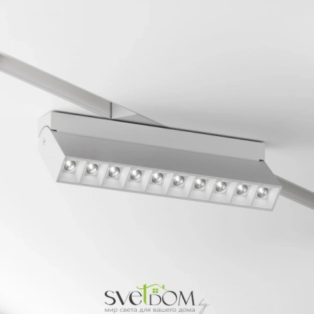 TR077-2-20W4K-W Maytoni