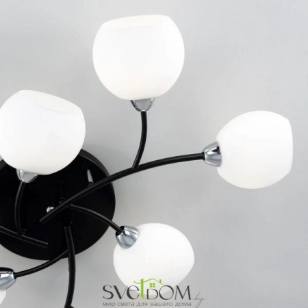 Люстры потолочныеCL148195 CITILUX | Svetdom.by
