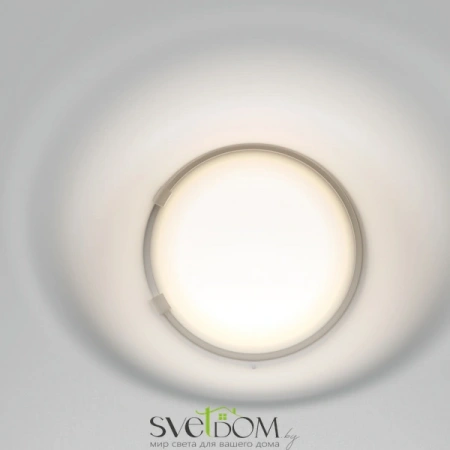 Встраиваемые светильники Maytoni DL001-WW-01-W от Магазина Svetdom.by
