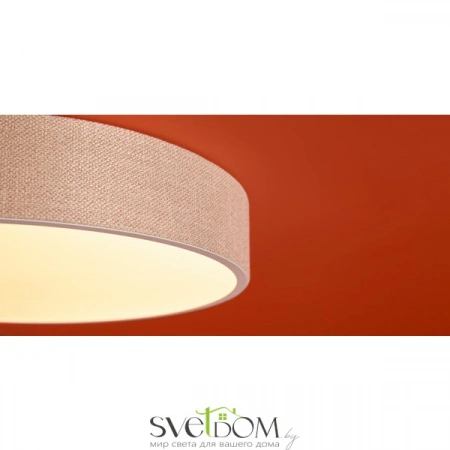 Потолочные светильники Freya FR5555CL-L30BGG от Магазина Svetdom.by