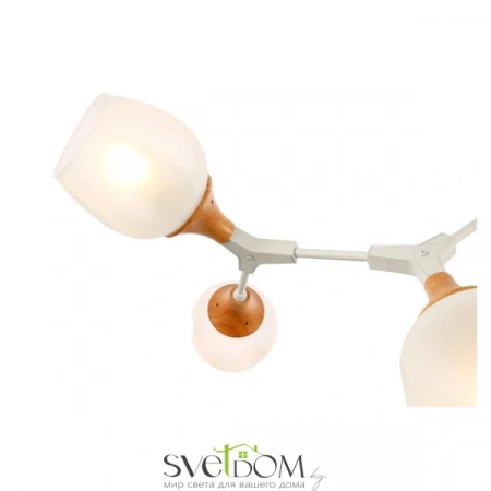 Потолочные светильники EVOLUCE SLE113502-05 от Магазина Svetdom.by