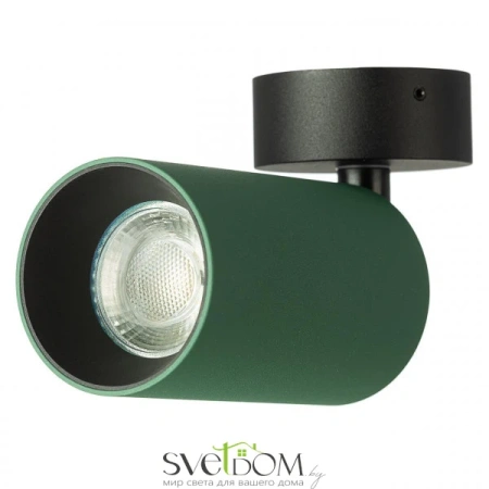 CITILUX CL512215 AXEL Зеленый Св-к Спот Накладной CITILUX